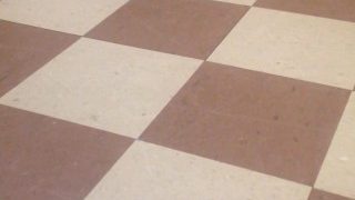 Two Hot Invisible And Silent Lesbians Fuck On The Floor
